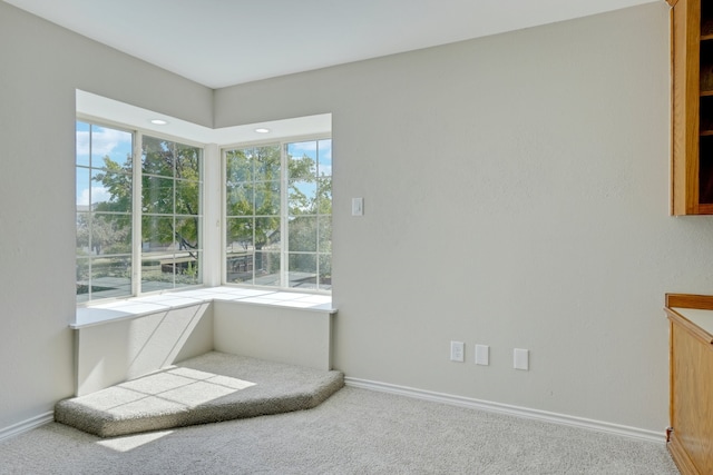 unfurnished room featuring carpet flooring