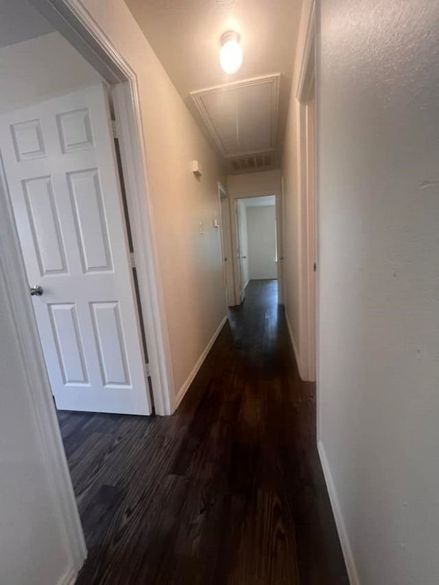 hallway featuring dark wood-type flooring