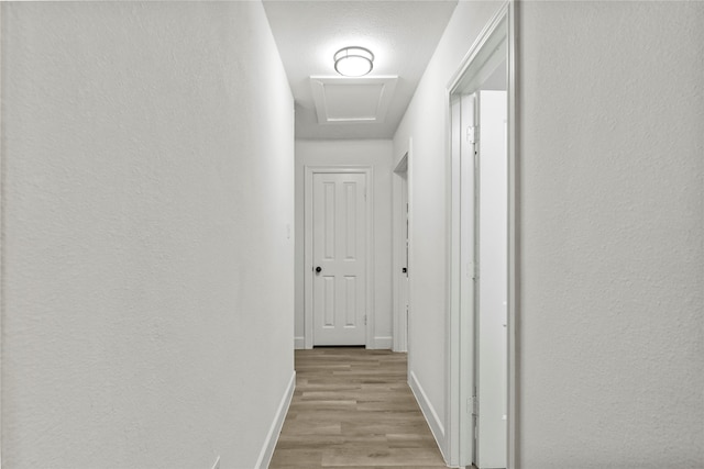 corridor featuring light hardwood / wood-style floors