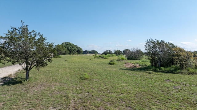 view of local wilderness featuring a rural view