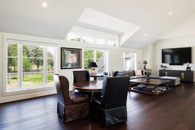 dining room featuring lofted ceiling and dark wood-type flooring