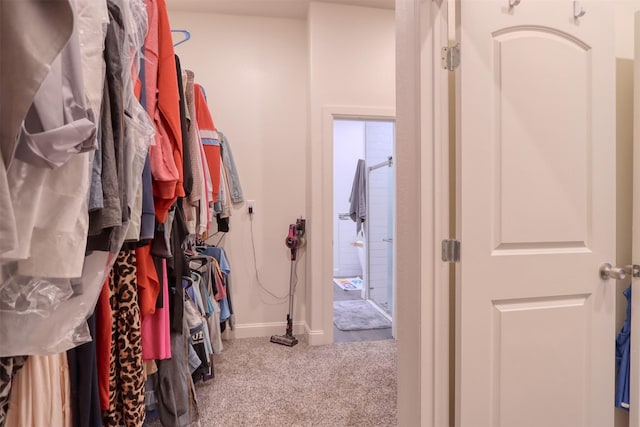 spacious closet with carpet floors