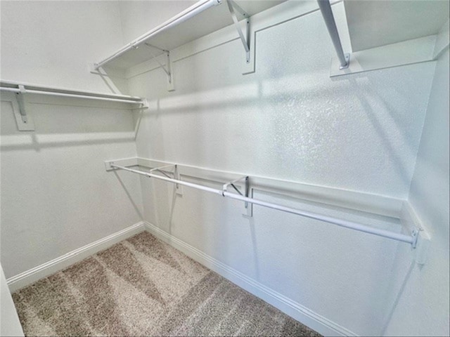 spacious closet with carpet