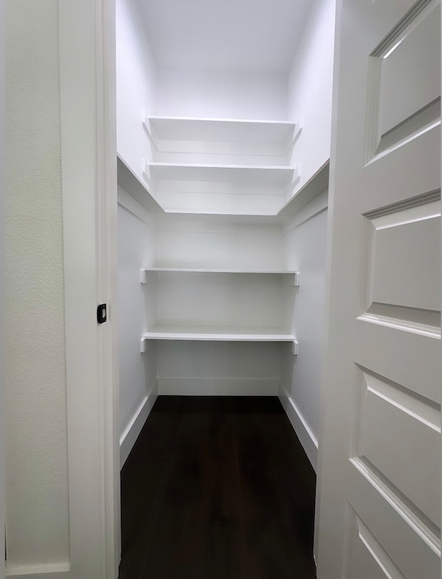 spacious closet featuring dark hardwood / wood-style floors