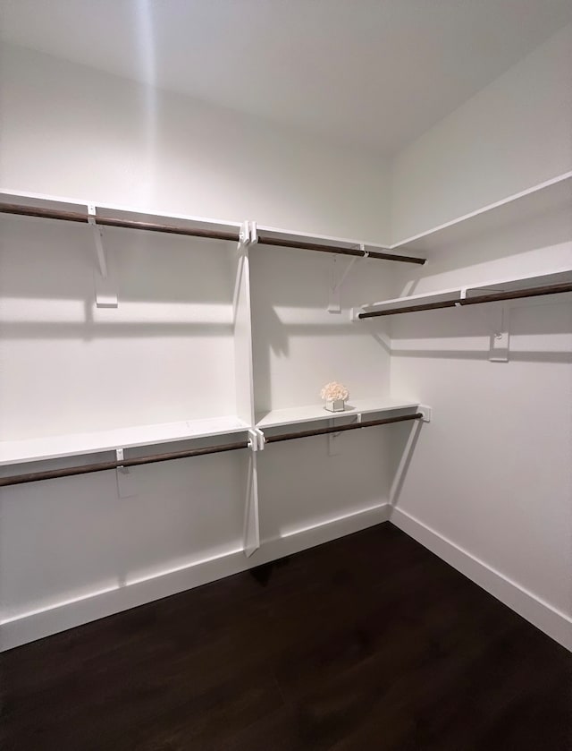 walk in closet featuring dark wood-type flooring