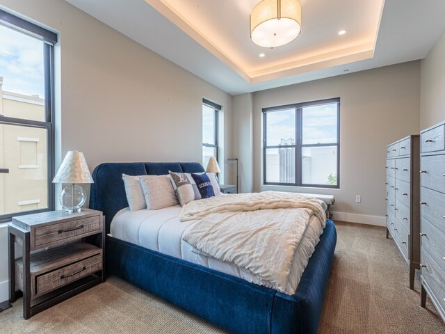 carpeted bedroom with a raised ceiling