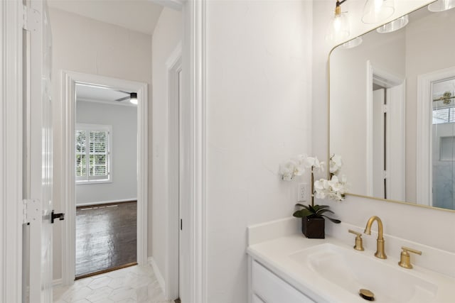 bathroom with wood-type flooring and vanity