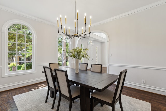 dining room with a wealth of natural light, wood-type flooring, and a chandelier