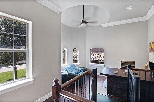 bedroom featuring crown molding, ceiling fan, and dark wood-type flooring