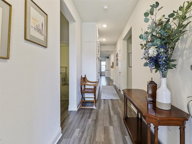 hallway with dark hardwood / wood-style flooring