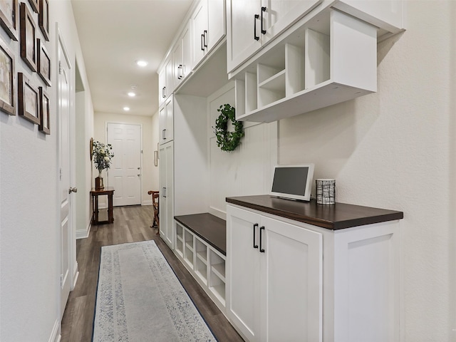 mudroom with dark hardwood / wood-style floors