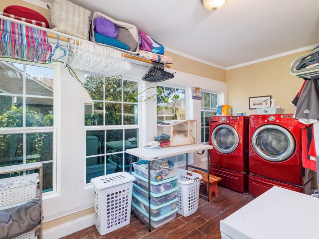 laundry room with plenty of natural light, dark hardwood / wood-style flooring, crown molding, and separate washer and dryer