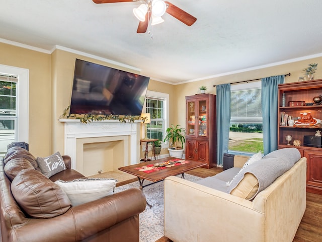 living room featuring crown molding, wood-type flooring, and ceiling fan