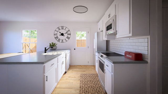 kitchen with light wood-type flooring, a healthy amount of sunlight, white electric stove, and stainless steel microwave