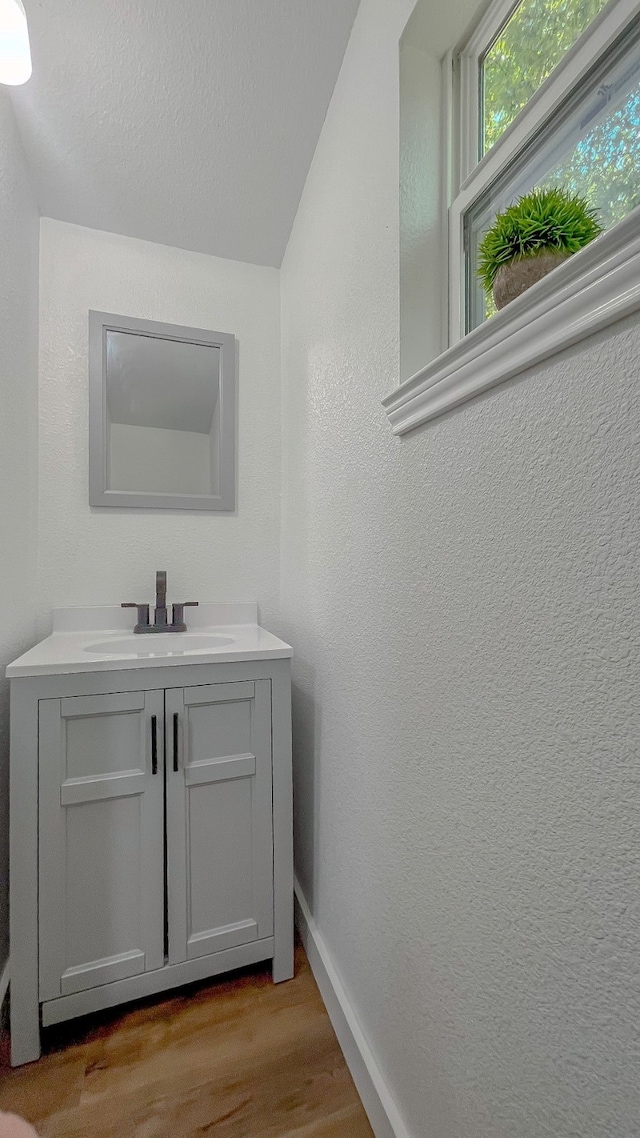 bathroom featuring vanity and hardwood / wood-style flooring