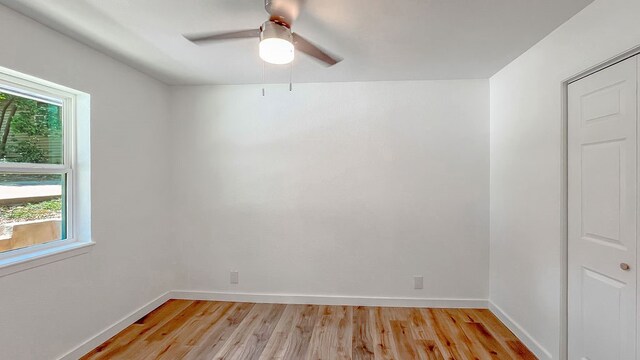 empty room with ceiling fan and light hardwood / wood-style flooring