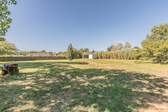 view of yard featuring a storage shed