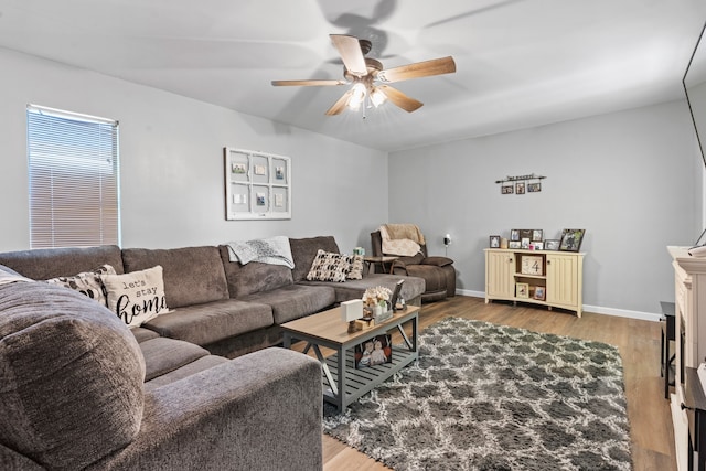 living room with ceiling fan and light hardwood / wood-style floors