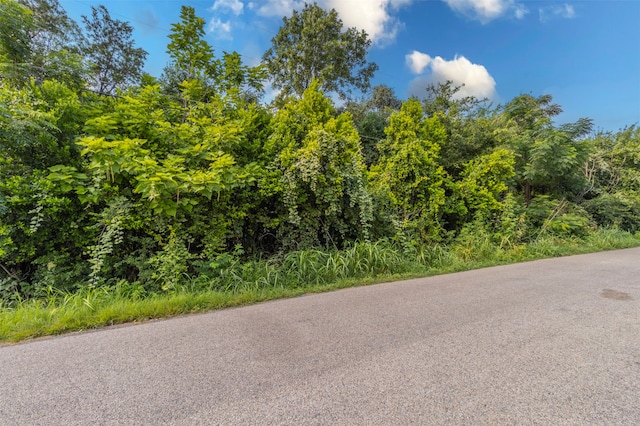 2711 Forest Park Dr, Granbury TX, 76048 land for sale