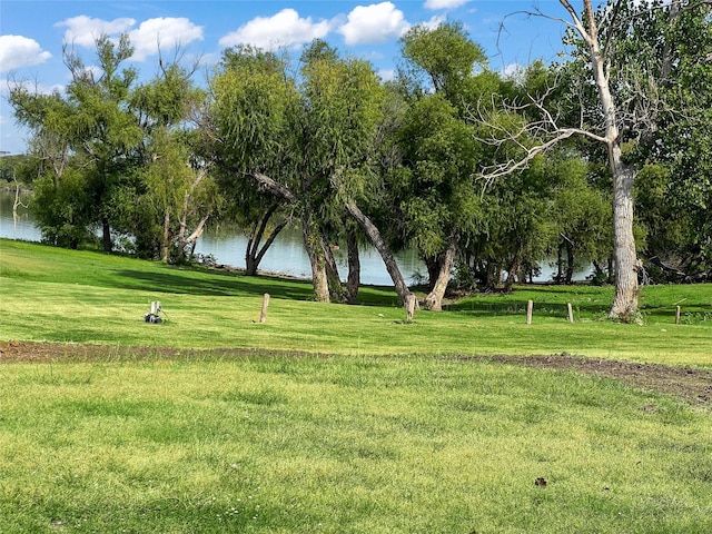 view of community featuring a water view and a yard