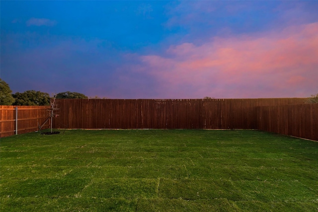 view of yard at dusk