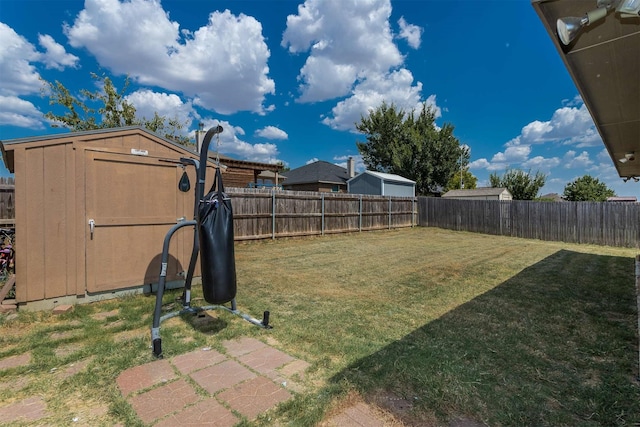 view of yard with a storage unit