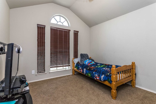 carpeted bedroom with multiple windows and lofted ceiling