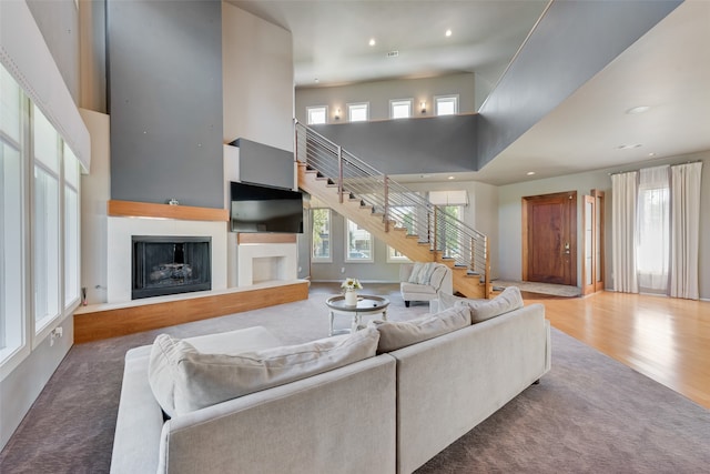 living room with wood-type flooring and a high ceiling