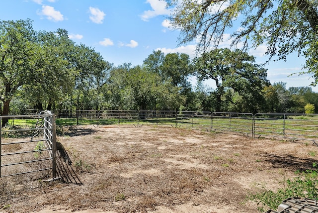 view of yard featuring a rural view