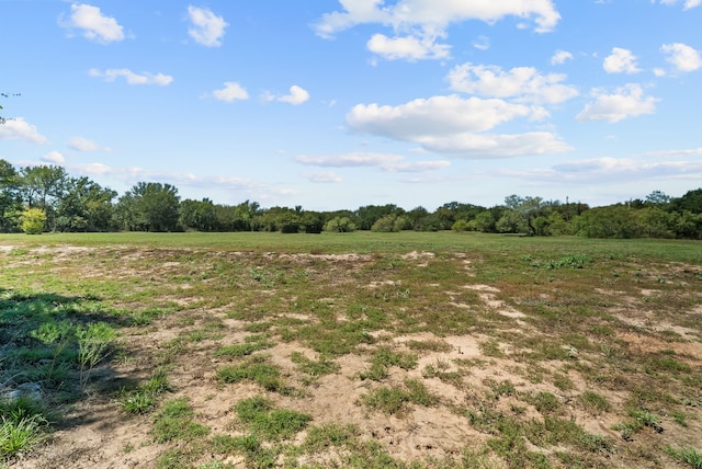 view of local wilderness featuring a rural view