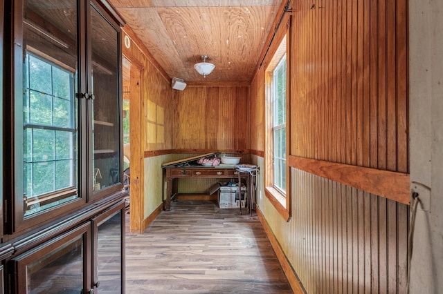 view of sauna / steam room with wooden ceiling, wood-type flooring, and wood walls