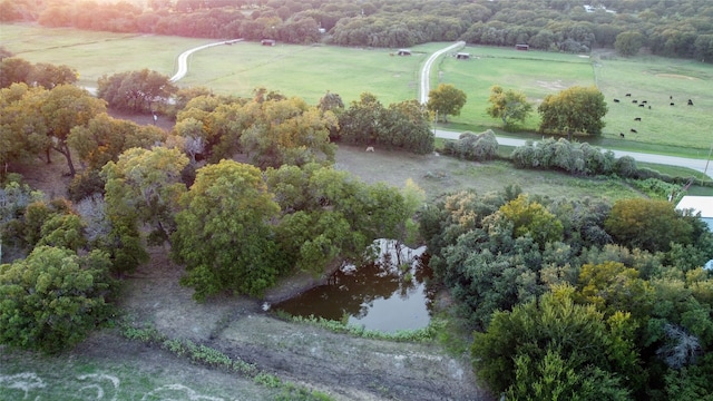 aerial view with a water view and a rural view