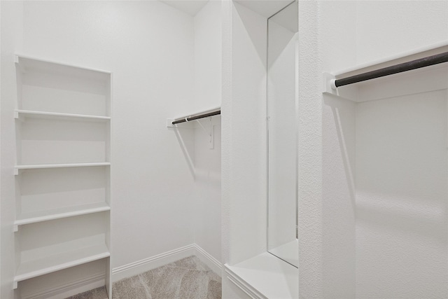 spacious closet with carpet flooring