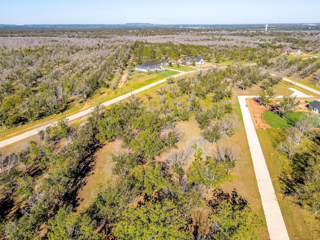 8412 W Landings Rd, Granbury, TX 76049