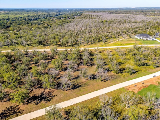 8412 W Landings Rd, Granbury, TX 76049