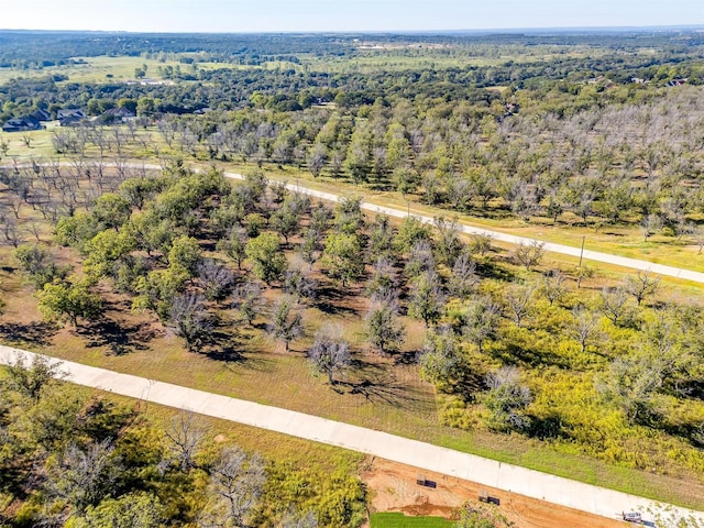 8412 W Landings Rd, Granbury, TX 76049