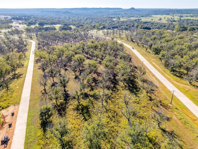8412 W Landings Rd, Granbury, TX 76049