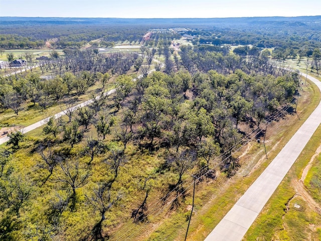 8412 W Landings Rd, Granbury, TX 76049