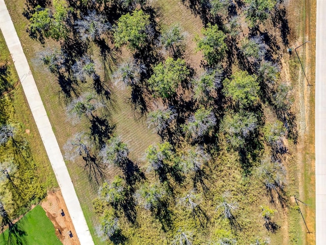 8412 W Landings Rd, Granbury, TX 76049