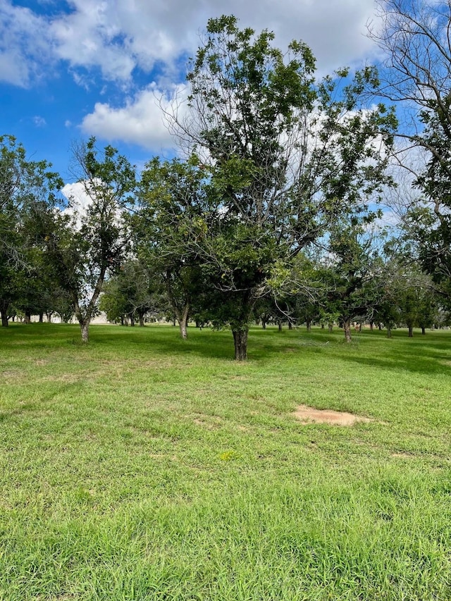 8412 W Landings Rd, Granbury, TX 76049