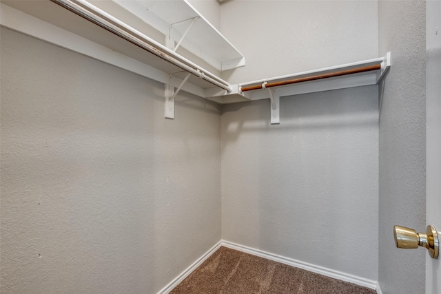 walk in closet with carpet floors