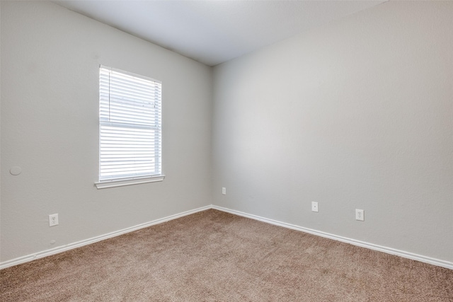 spare room featuring carpet floors