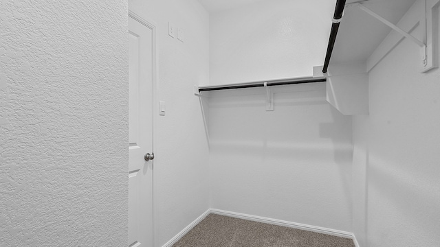 walk in closet featuring carpet flooring