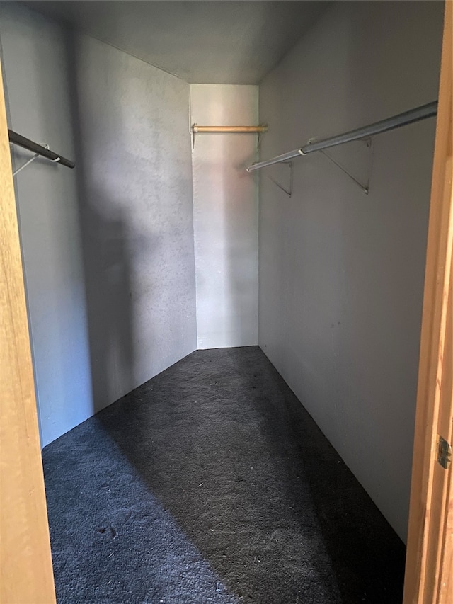 spacious closet with carpet flooring