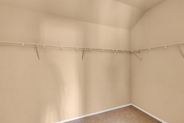 walk in closet featuring lofted ceiling and carpet flooring