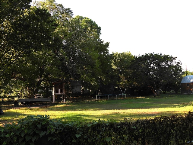 view of yard with a trampoline