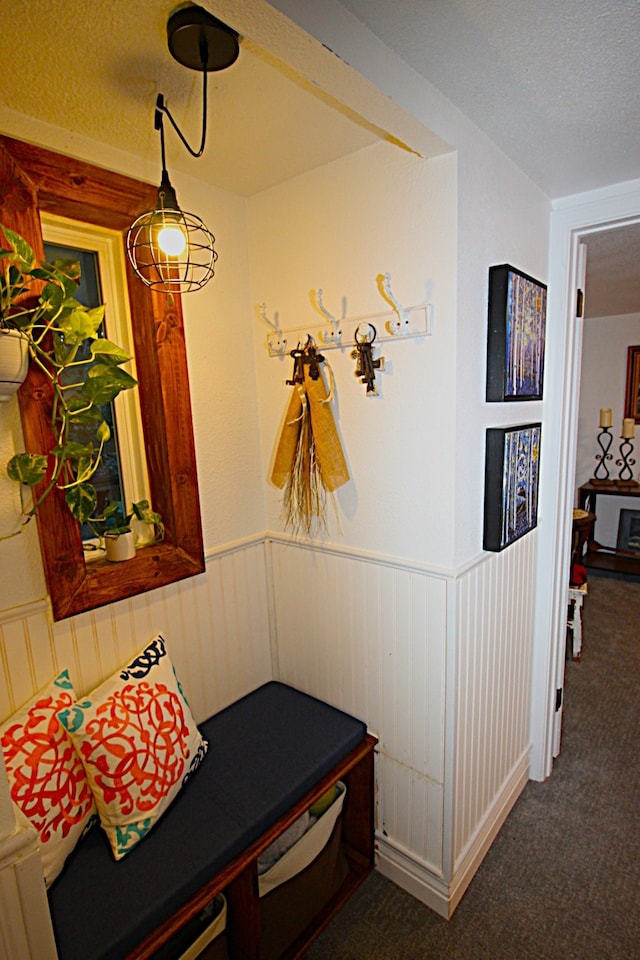 hallway with a textured ceiling, carpet, and a wainscoted wall