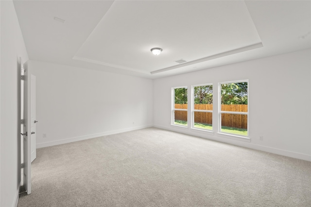 spare room featuring a raised ceiling and carpet floors