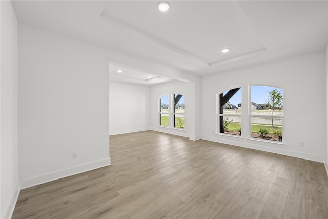 empty room with light wood-type flooring and a raised ceiling