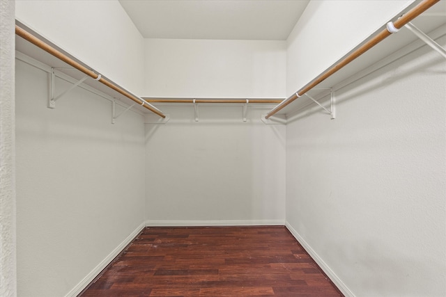 walk in closet featuring hardwood / wood-style flooring